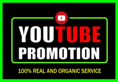 I will do organic youtube video promotion